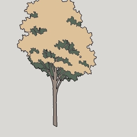 ͼʦģֲTTrees2Dֱģ120