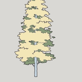 ͼʦģֲģȫ20222370