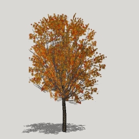 ͼʦģֲģȫ20221287