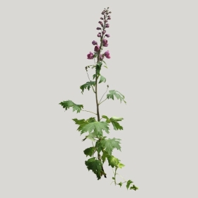 ͼʦģֲģȫ20221813