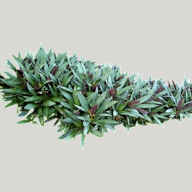 ͼʦģֲģȫ20222058