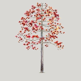 ͼʦģֲģȫ20221140