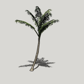 ͼʦģֲģȫ20222338