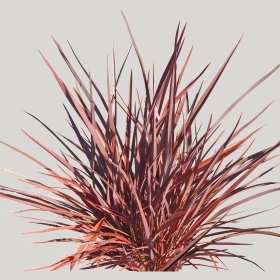 ͼʦģֲģȫ20221340