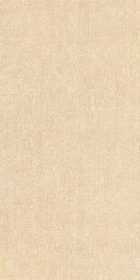 ʯɲǽשǽש 300X600˿·95512300X600MM