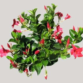 ͼʦģֲģȫ20221076