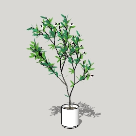 ͼʦģֲģȫ20221201