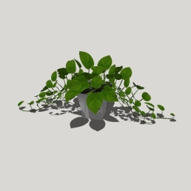 ����ֲ��_Sketchup��ͼ��ʦģ��Enscape����22020426538