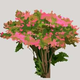 ͼʦģֲģȫ20222180