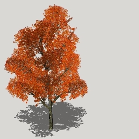 ͼʦģֲģȫ20221300