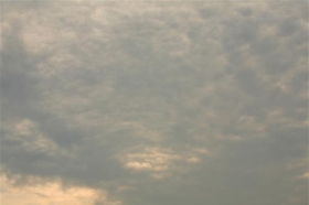 ƶջͼ0477