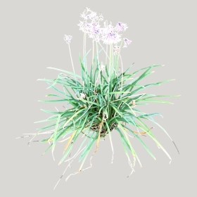 ͼʦģֲģȫ20221363