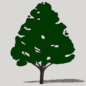 ͼʦģֲTTrees2Dֱģ038