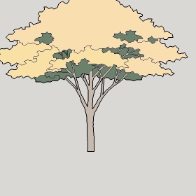 ͼʦģֲģȫ20222374