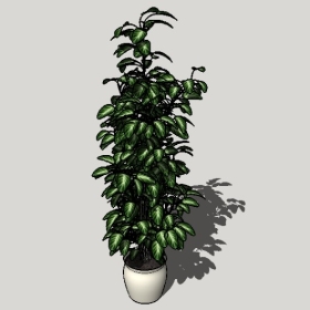 ͼʦSketchupƷģ20221125ϴ075