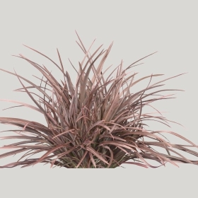 ͼʦģֲģȫ20222352