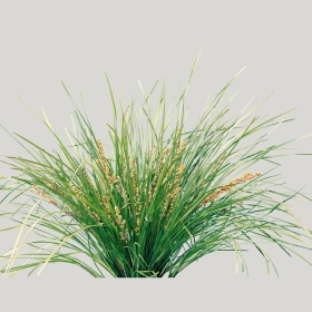 ͼʦģֲģȫ20222354