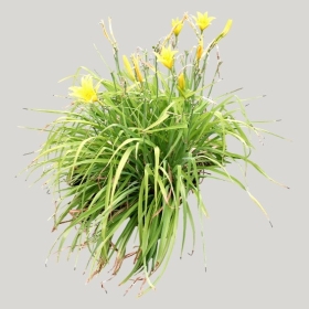 ͼʦģֲģȫ20221025