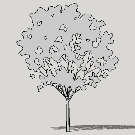 ͼʦģֲTTrees2Dֱģ062