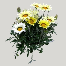 ͼʦģֲģȫ20221768