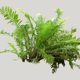 ͼʦģֲģȫ20221150