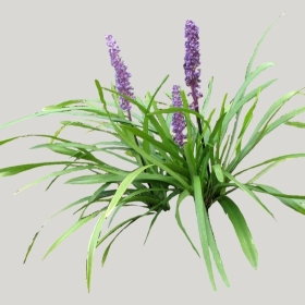 ͼʦģֲģȫ20221844