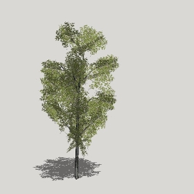 ͼʦģֲģȫ20221296