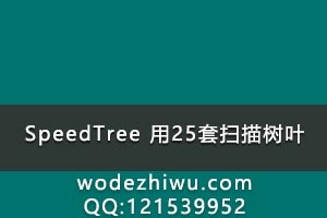 speedtree  25ɨҶ һmaxԴļ