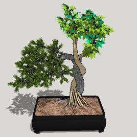 ͼʦSketchupƷģ20221125ϴ010