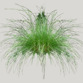 ͼʦģֲģȫ20222228