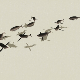 ͼʦSketchupҵģ11250892