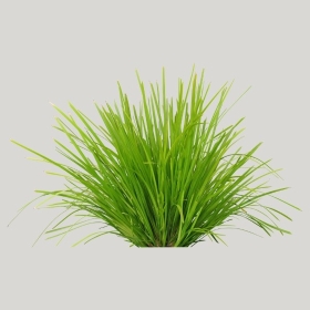 ͼʦģֲģȫ20222392