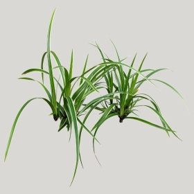 ͼʦģֲģȫ20222071