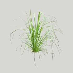 ͼʦģֲģȫ20222178