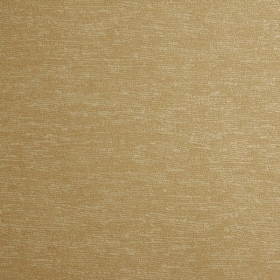 ͼⲼ-elizabeth-ly6783