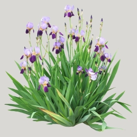 ͼʦģֲģȫ20221705