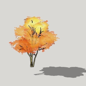 ͼʦģֲģȫ20222446