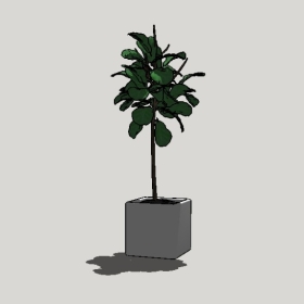 ����ֲ��_Sketchup��ͼ��ʦģ��Enscape����22020426457