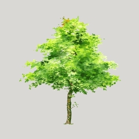 ͼʦģֲģȫ20222724