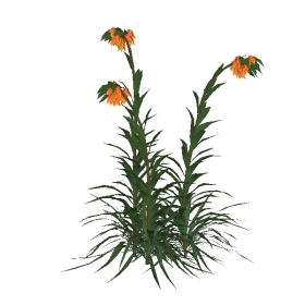 ݻϼάģͻʹڱĸ_02