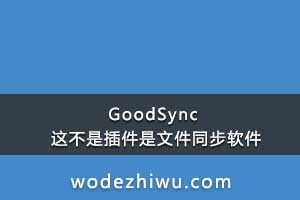 GoodSync  这不是插件是文件同步软件。直接下载