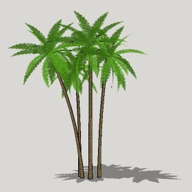 ͼʦģֲģȫ20221228