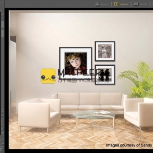 TimeExposure ProSelect Pro for mac 2016 R1.5 专业摄影展示和销售包装