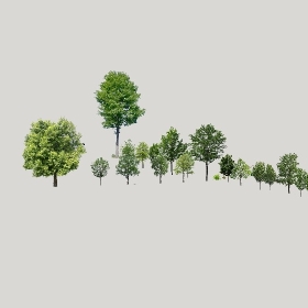 ͼʦģֲģȫ20222521