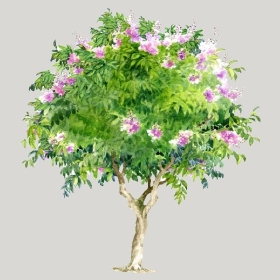 ͼʦģֲģȫ20222508