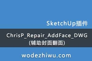 ChrisP_Repair_AddFace_DWG (淭)