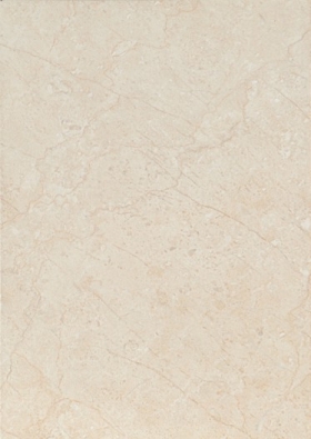 ʯɲǽשǽש 316X45045362  316X450MM
