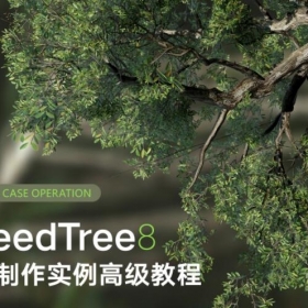 peedTree8ֲʵ̳