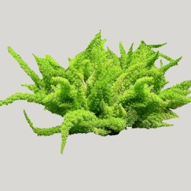 ͼʦģֲģȫ20221375