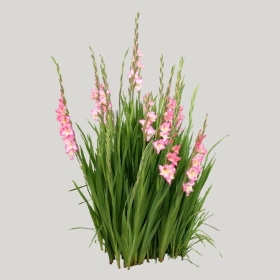 ͼʦģֲģȫ20221503